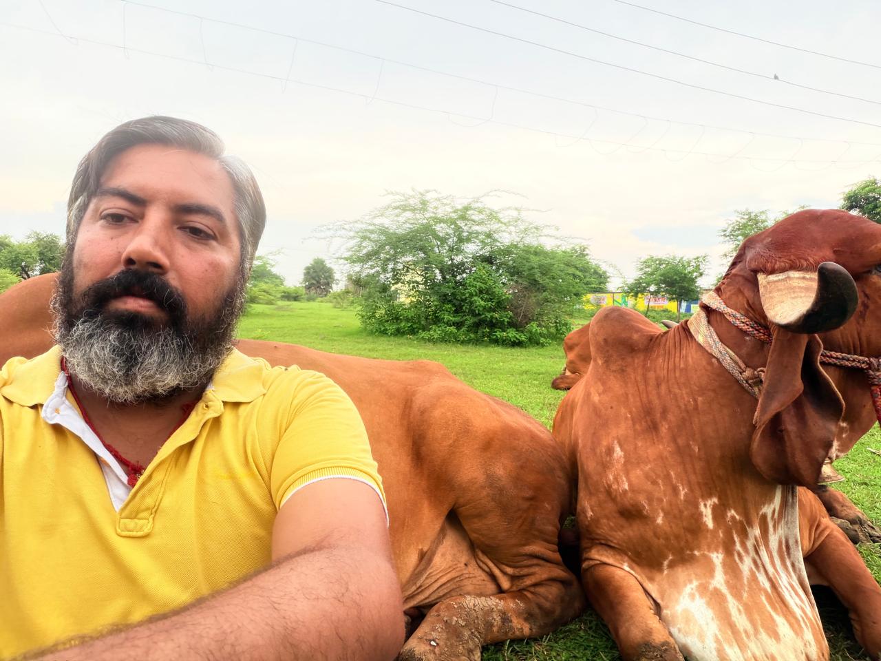 A2 Paneer promotional image