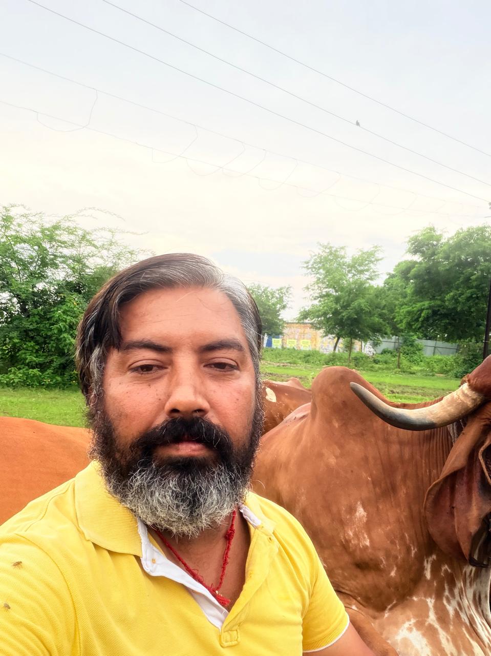 Gaushala related image
